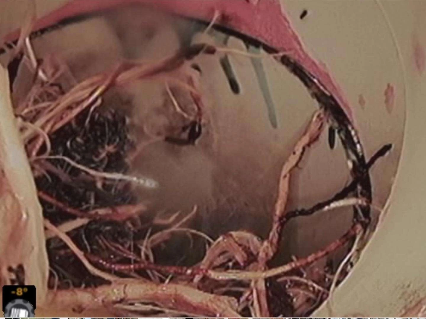 Blocked Drain Plumber Caboolture B