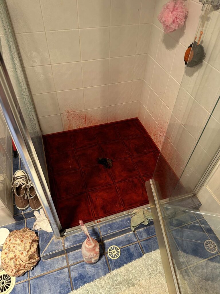 Dye Testing Shower 768×1024