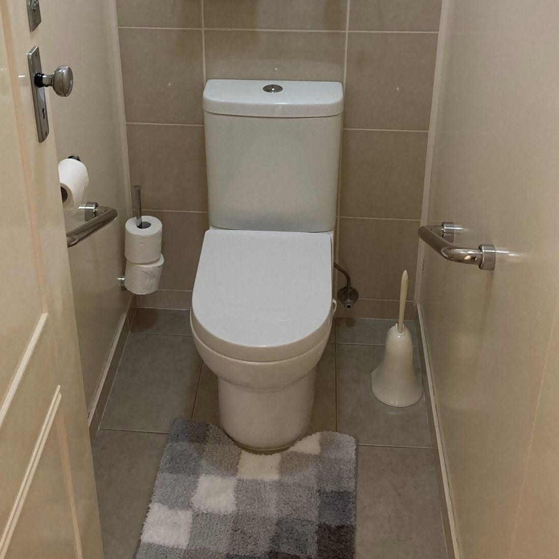 toilet grab rails installed