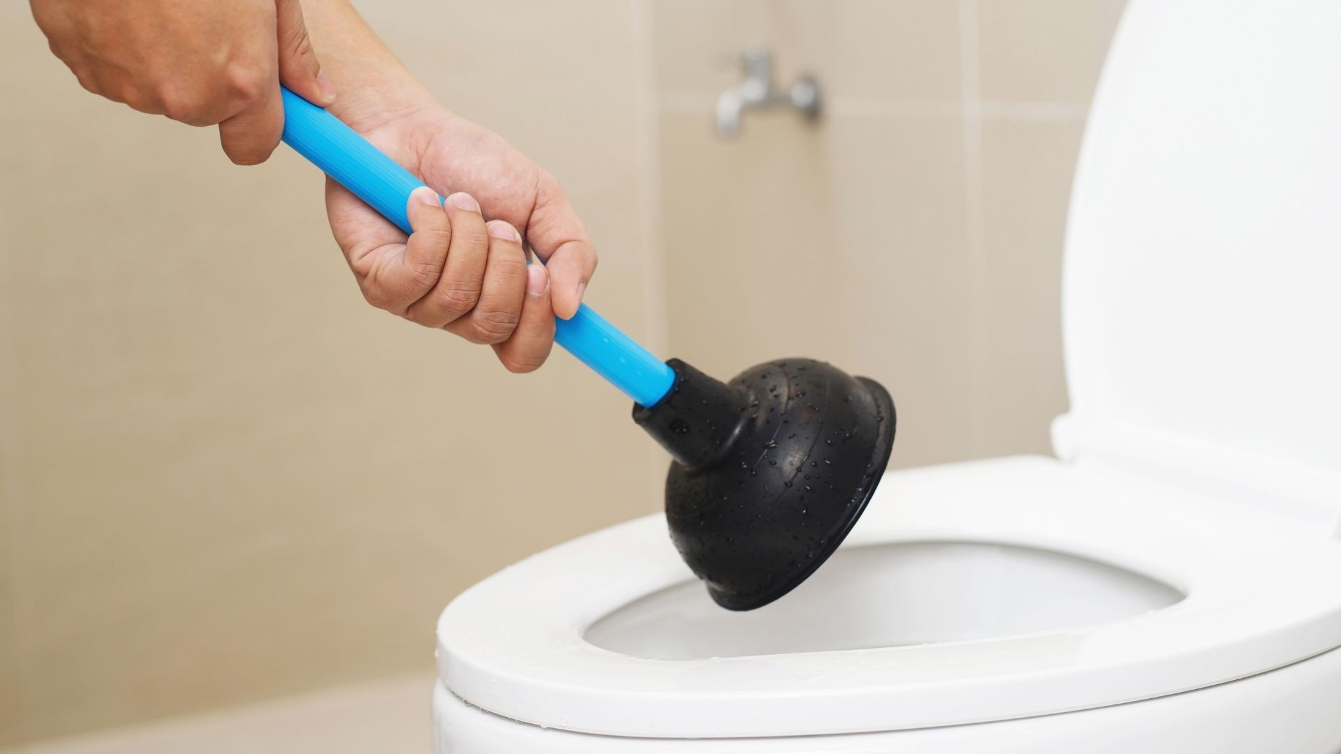 plunger and toilet